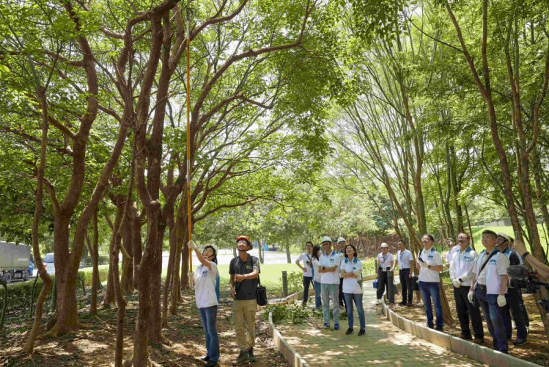 藝師教導大家認識樹木、檢查樹的健康狀況，學習修枝及碎枝覆土